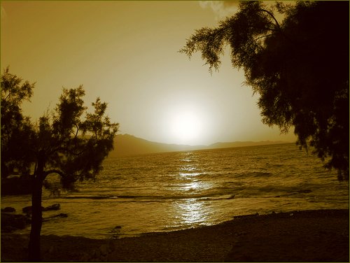 Sepia-Sun